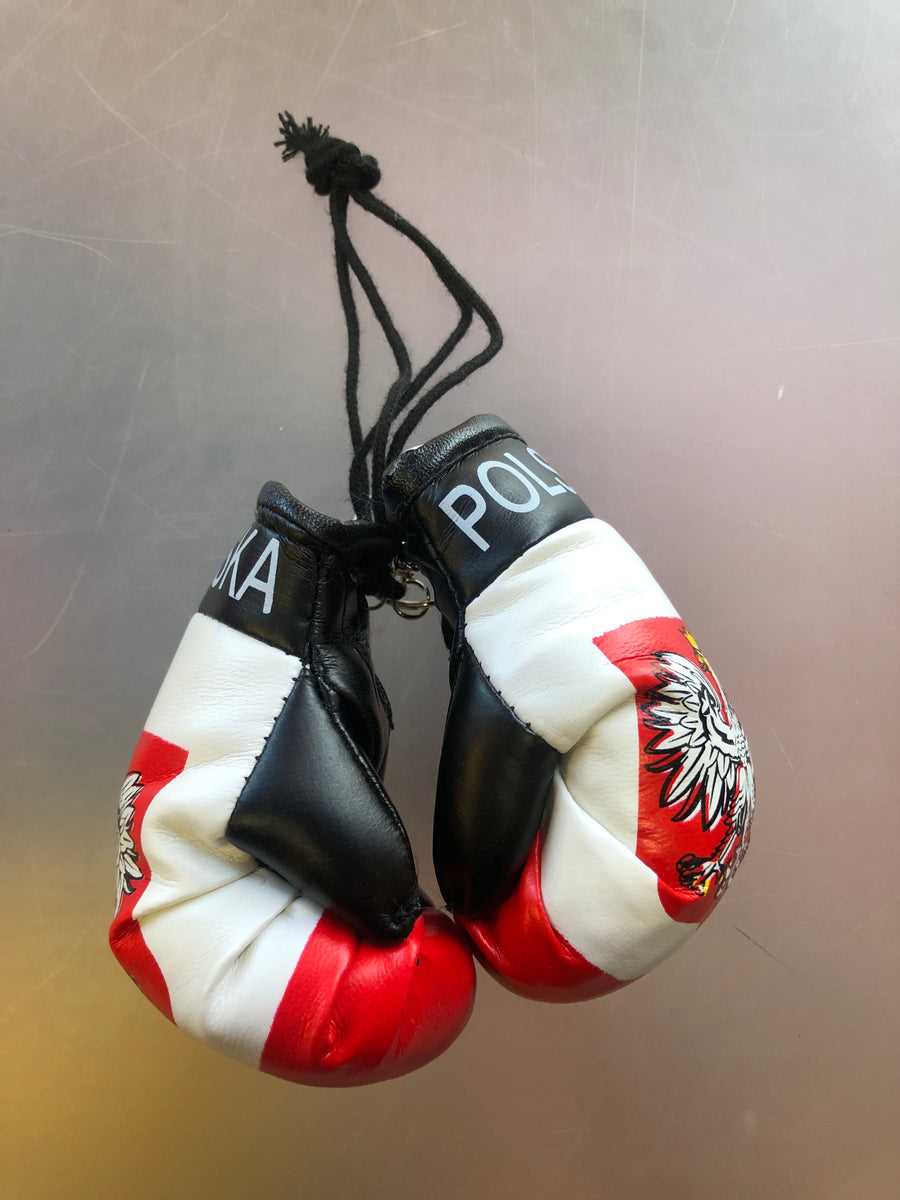 : Mini Boxing Gloves