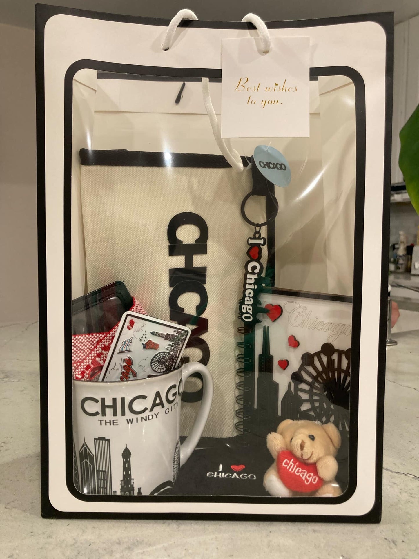 Chicago Souvenir Set