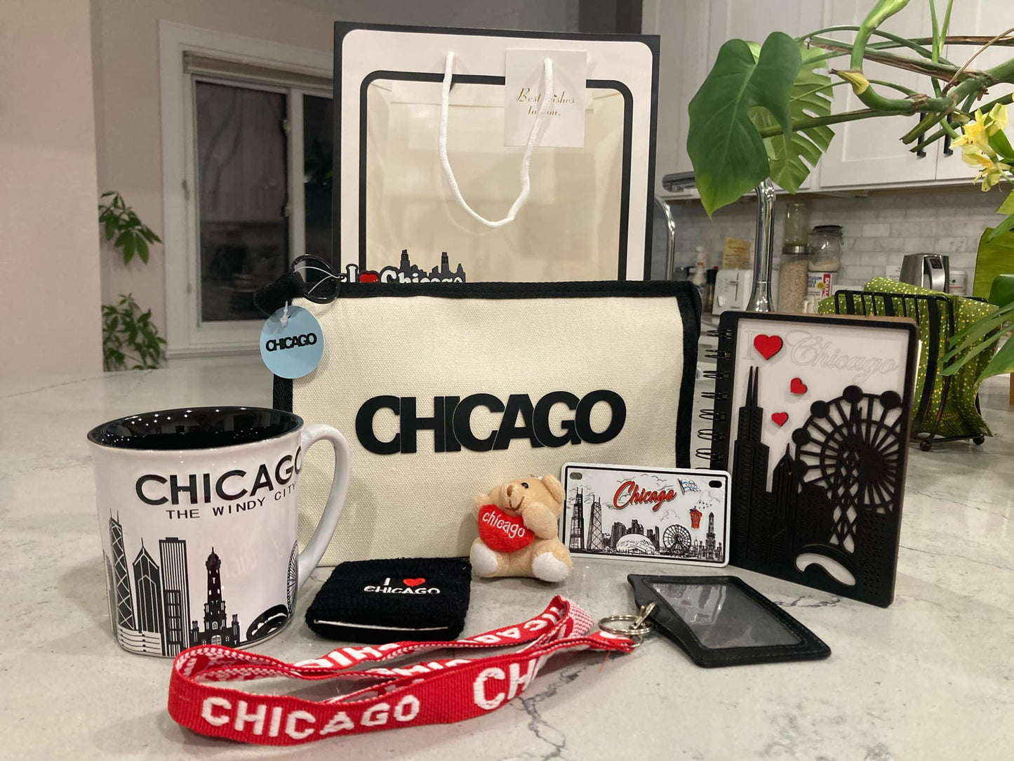 Chicago Souvenir Set