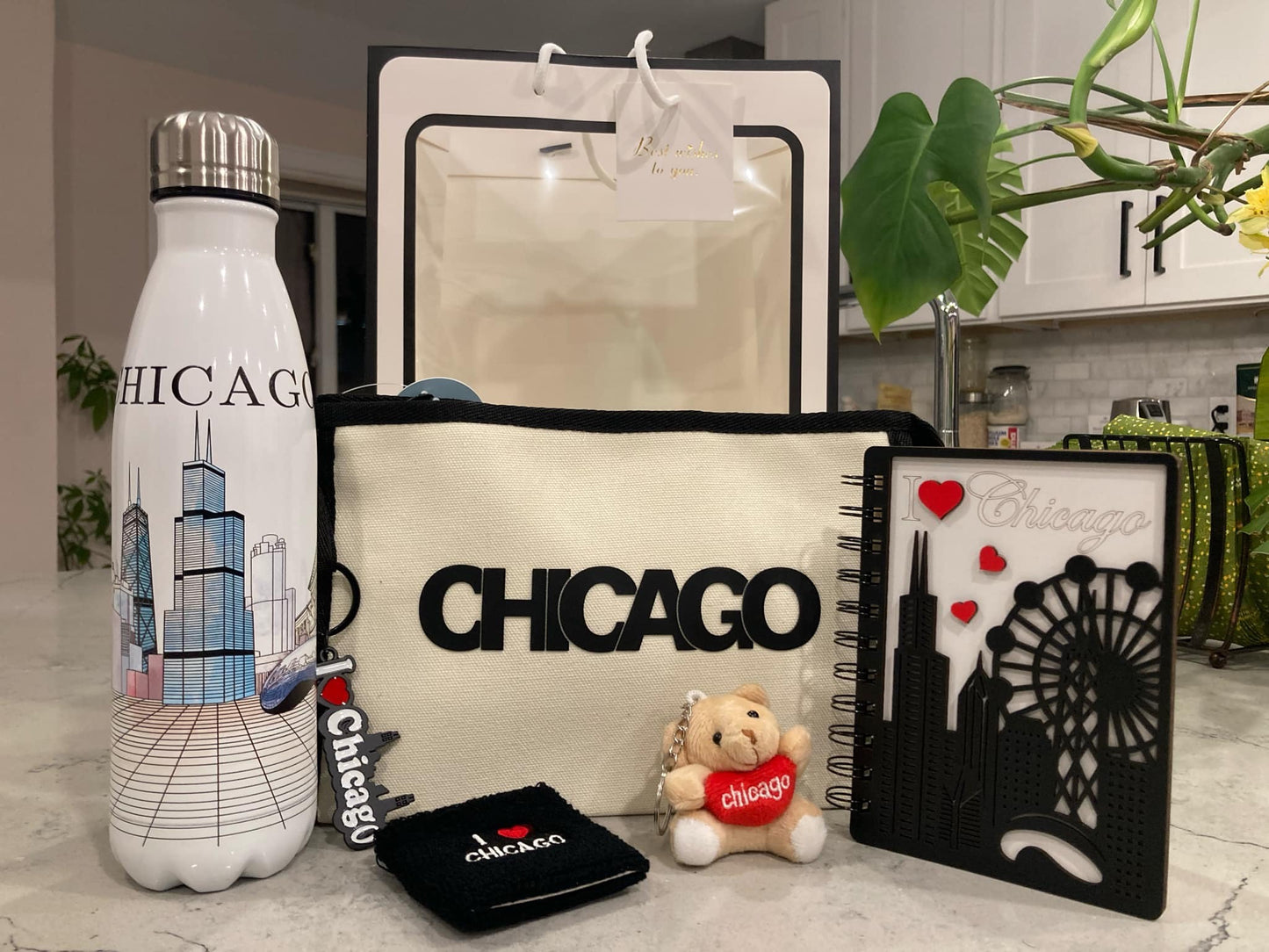 Chicago Souvenir Set