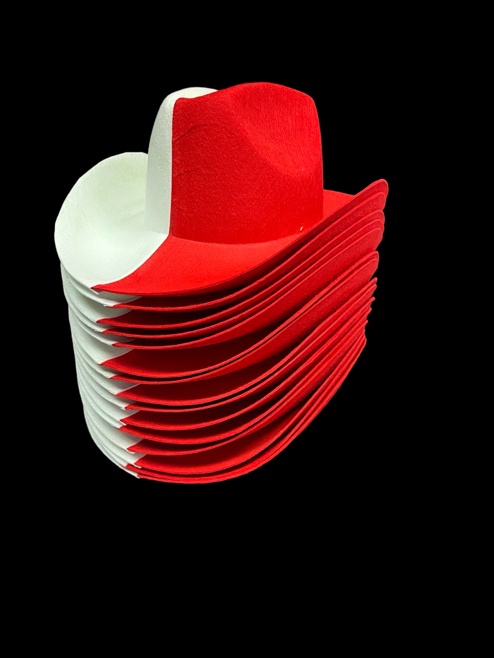 Bulk of Polska National Colors Cowboy Hat 12 Pack