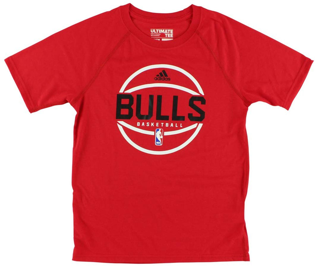 Chicago Bulls basketball NBA T Shirt Size M Mens Black Short Sleeve Crew  Neck